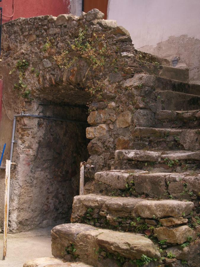 B&B Mamma Elena Rovito エクステリア 写真